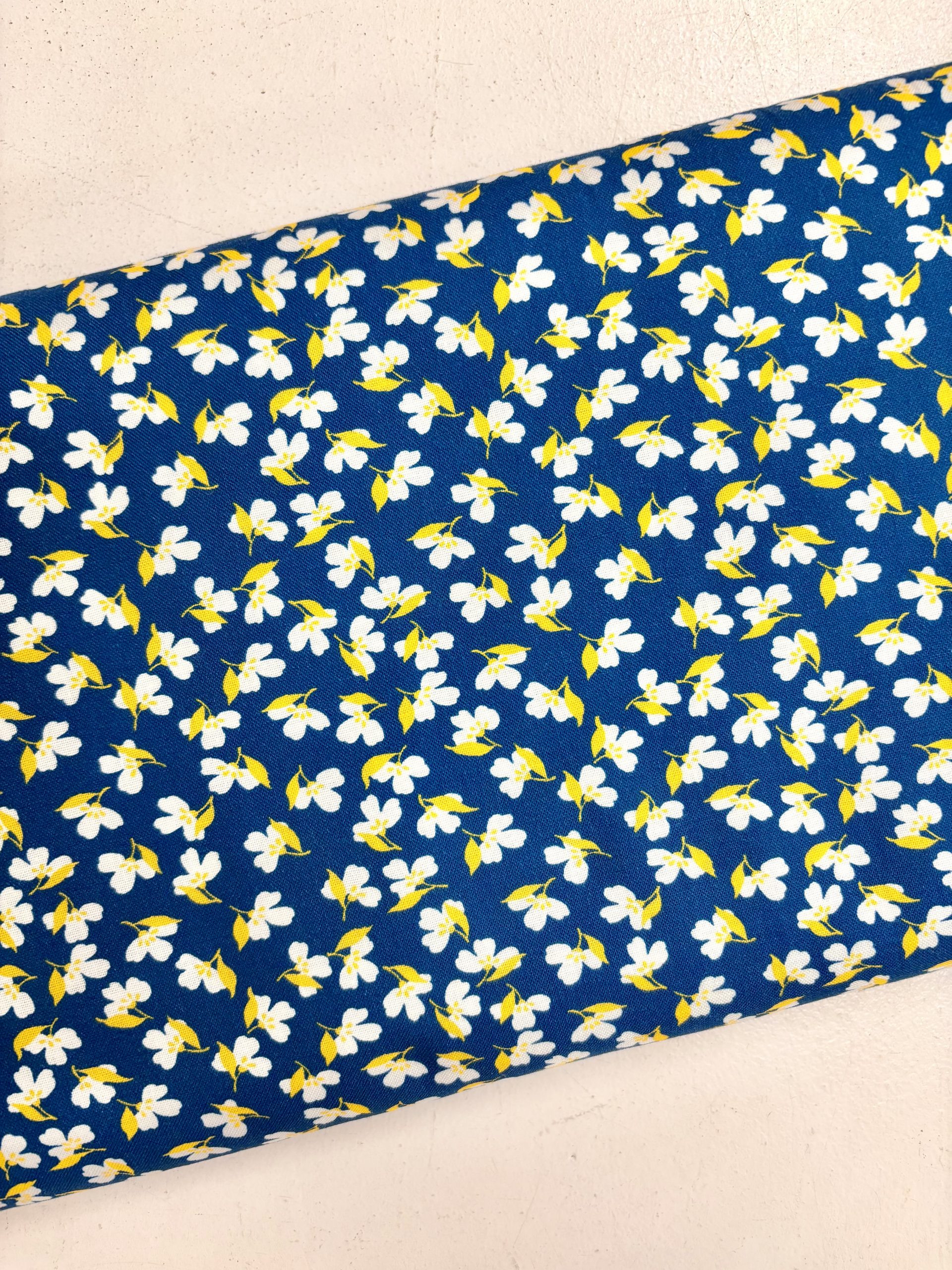 ‘Playful’ - 22295-4 Blue