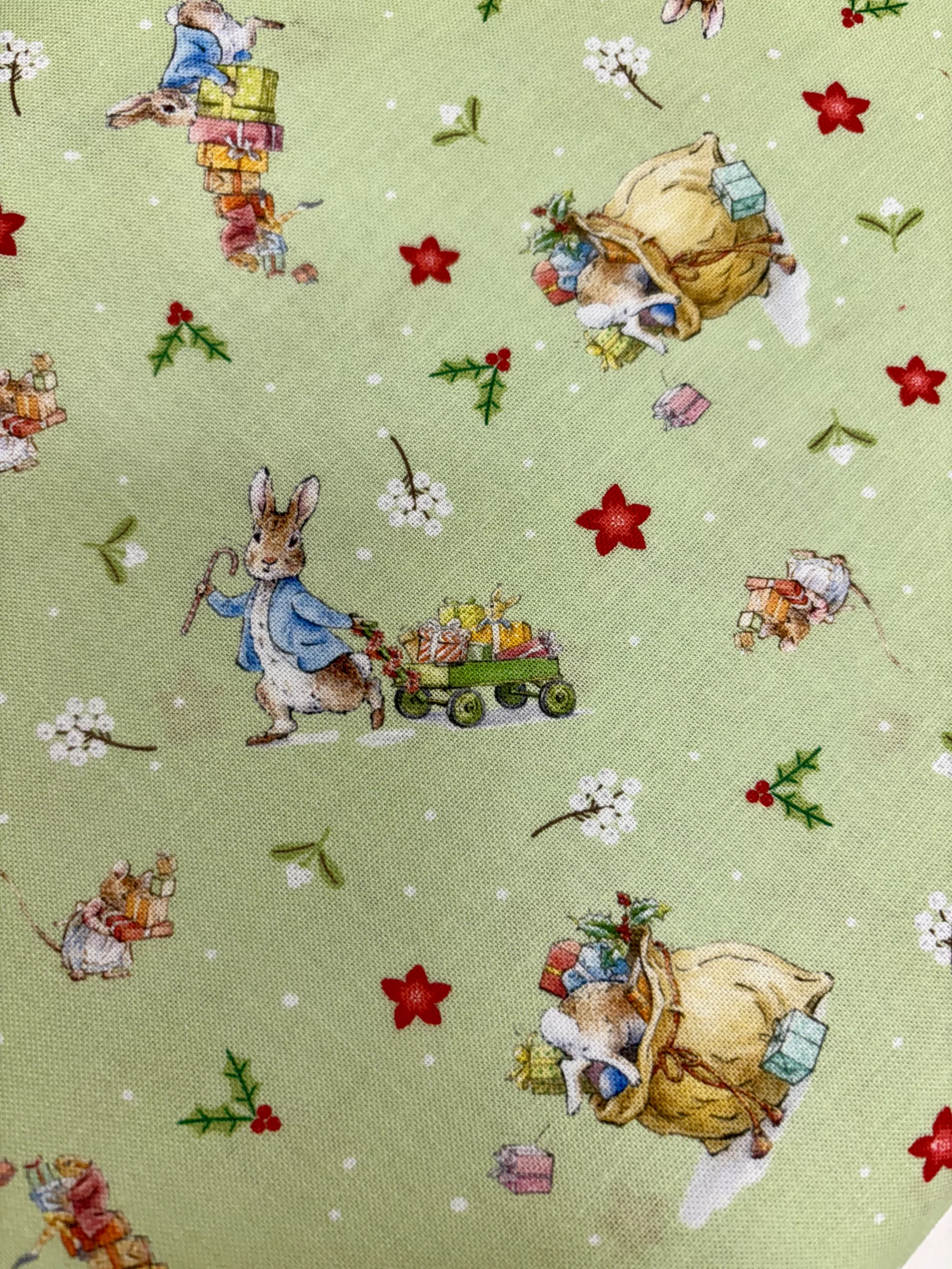 Peter Rabbit Christmas - Love & Joy Red - Image 5